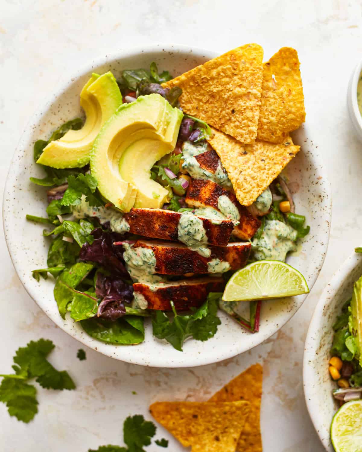 overhead view of a serving of santa fe chicken salad in a white bowl with tortilla chips.