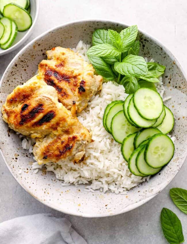 close up on a bowl of chicken and rice