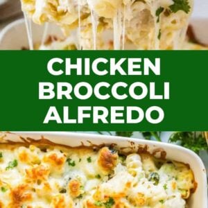 chicken broccoli alfredo (easy dinner!)