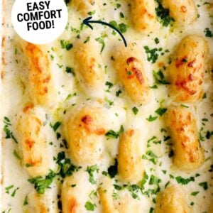 chicken alfredo stuffed shells pin