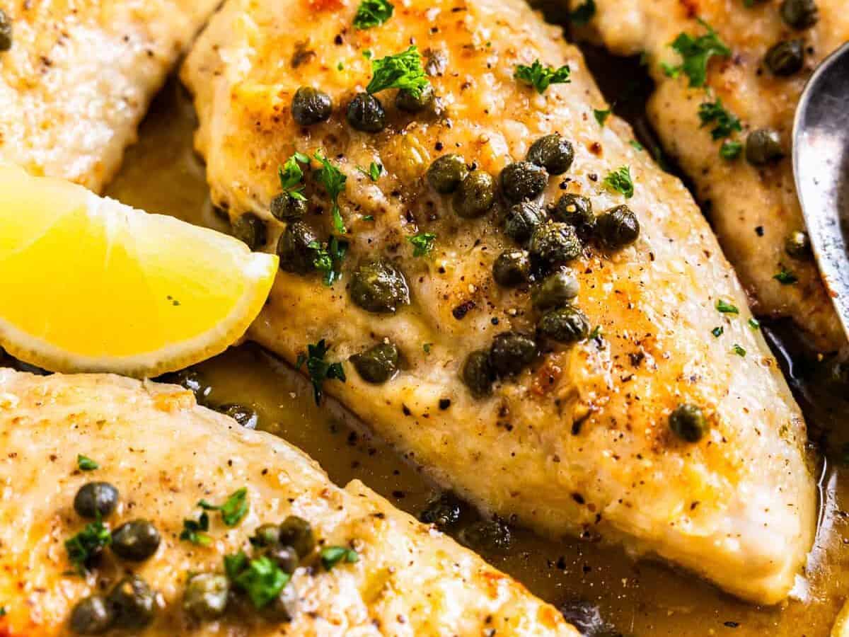 Close up on finished chicken piccata dish.