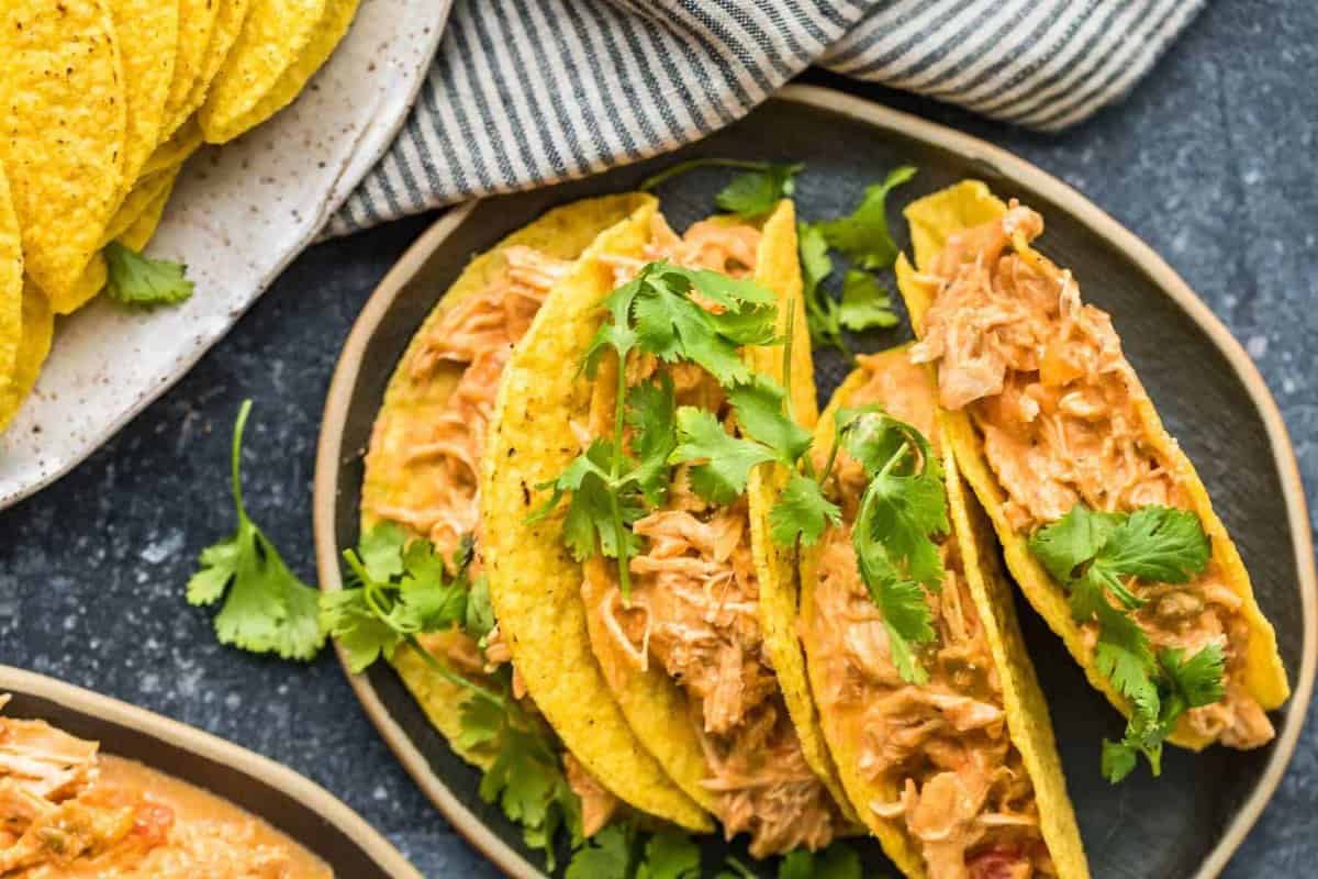 Crockpot Salsa Chicken served on a plate with cilantro.