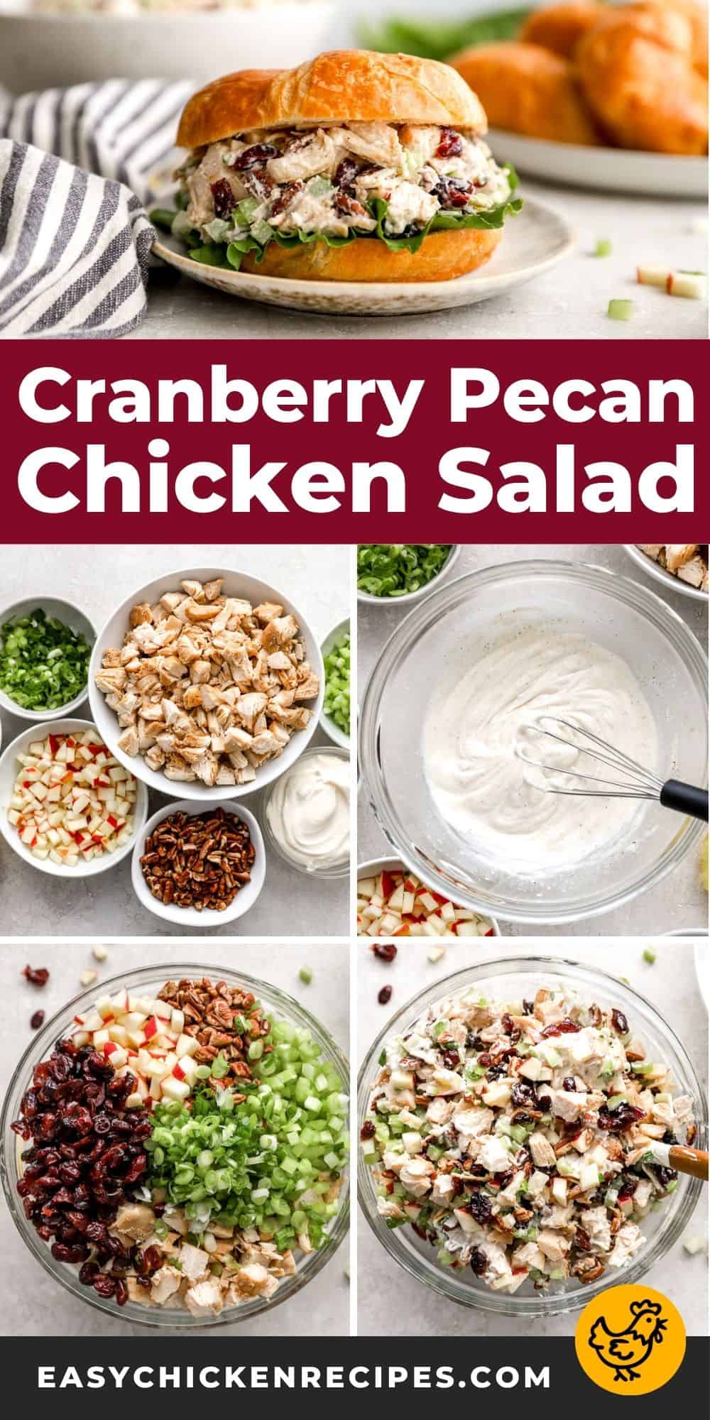 Cranberry Chicken Salad Recipe - Easy Chicken Recipes