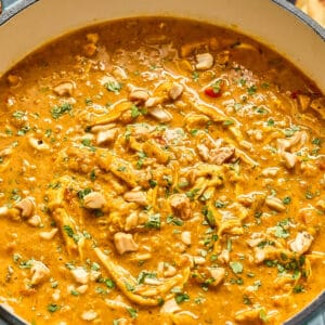 chicken mulligatawny soup in a dutch oven.