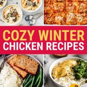 winter chicken recipes roundup.
