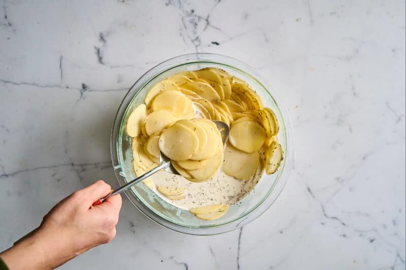 tossing sliced potatoes with seasoned cream and milk in a bowl.