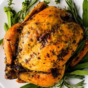 thanksgiving chicken on a white plate with herbs
