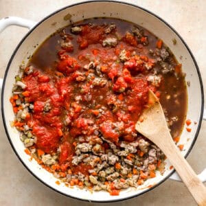 stirring tomatoes and tomato paste into cooked ground chicken and veggies in a dutch oven.