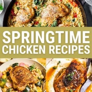 spring chicken recipes featured image.