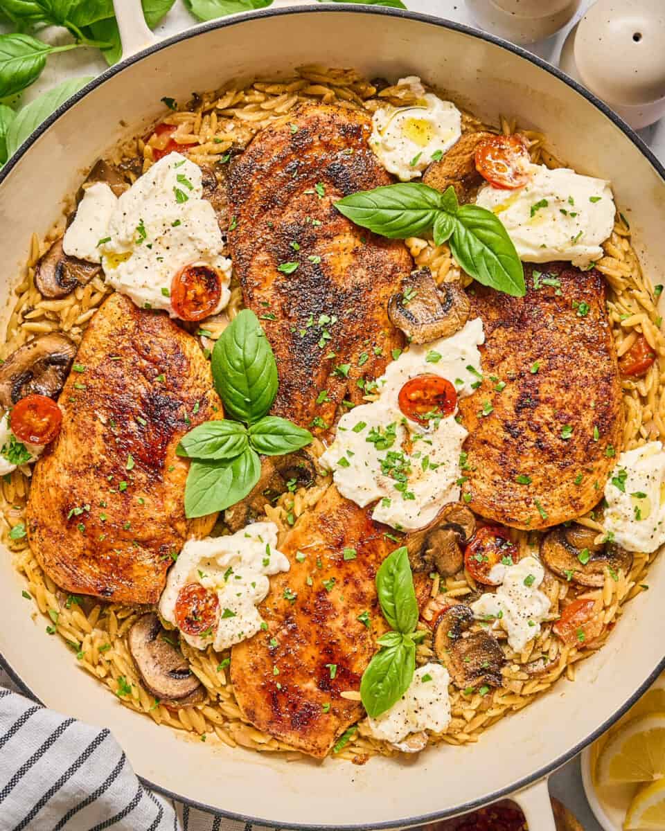 One Pan Ricotta Chicken and Orzo Skillet Recipe - Easy Chicken Recipes