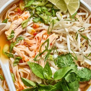 closeup of a bowl of chicken pho with a spoon.