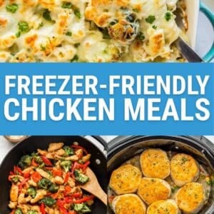 freezer friendly chicken meals.