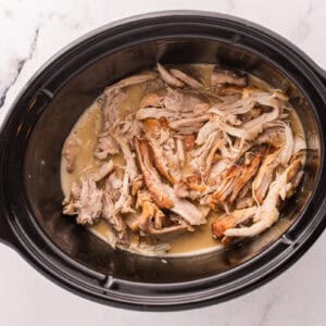 Chicken thighs shredded in the sauce.