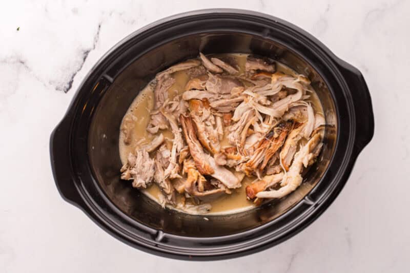 Chicken thighs shredded in the sauce.