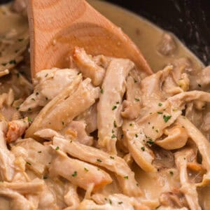 Shredded chicken thighs in a sauce in a Crockpot.