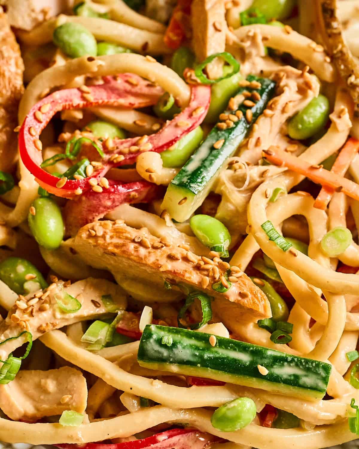 Closeup on udon noodle salad filled with leftover chicken, edamame, veggies, tahini dressing, and sesame seeds.