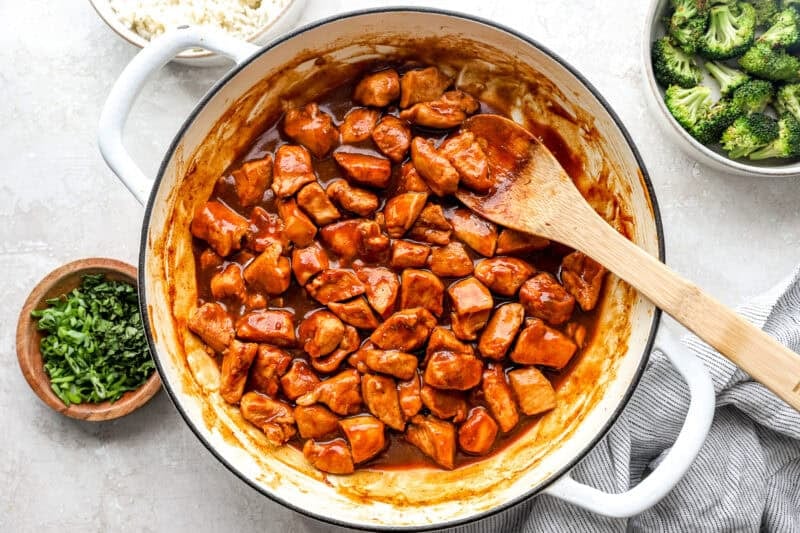 Chicken pieces in a thick sauce.