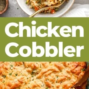 pin: chicken cobbler.