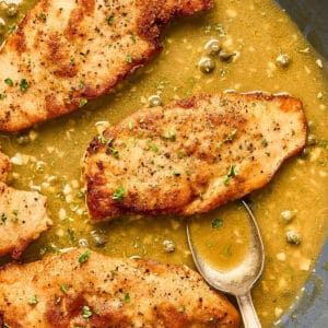Lemon chicken scallopini in a pan with buttery piccata sauce.