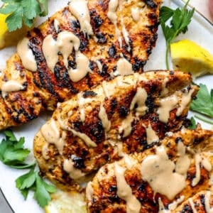 A plate of grilled chicken breasts with tahini sauce.