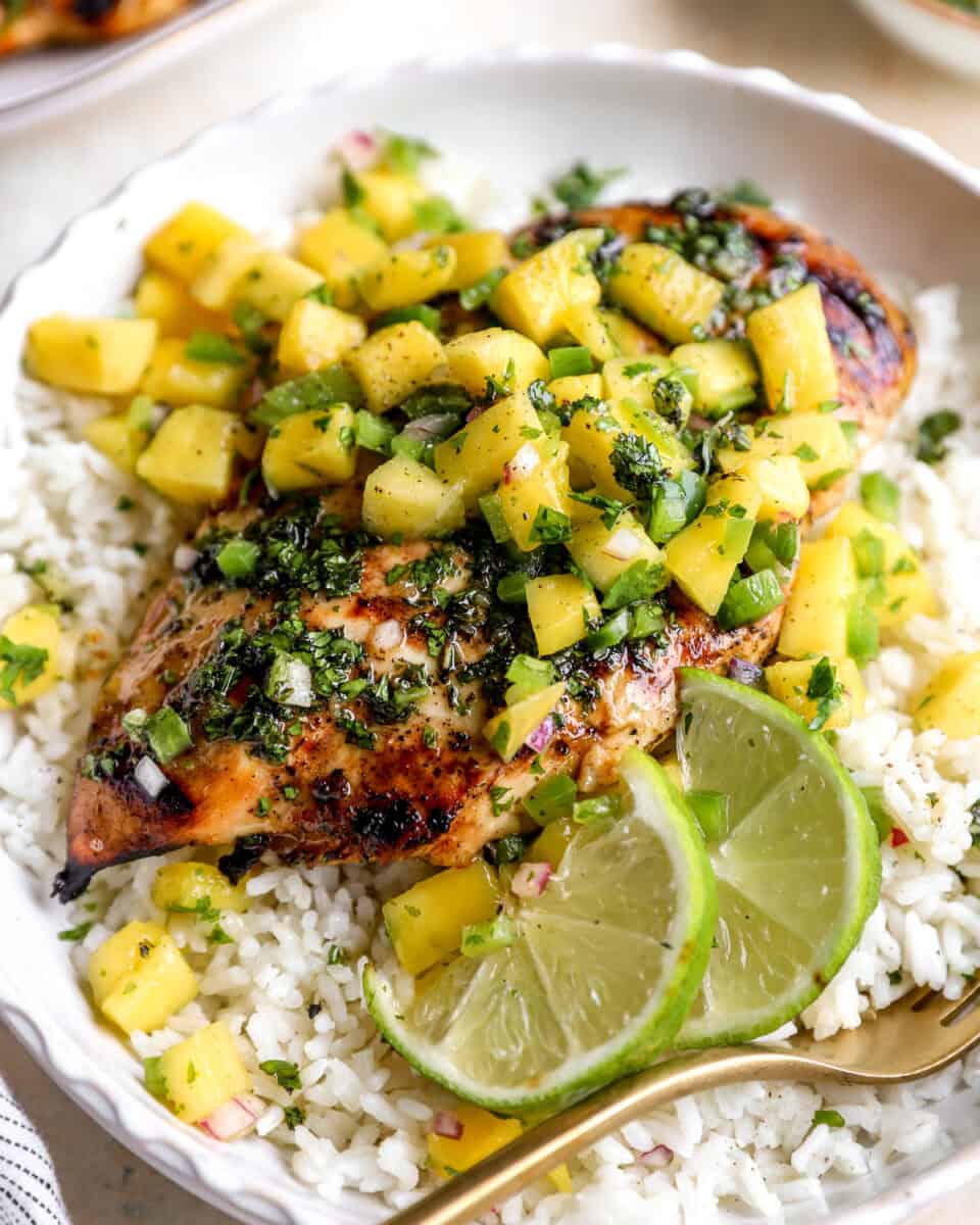 Mojito rum marinated chicken served with rice, mango salsa, and mint cilantro sauce.