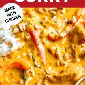Pin: pumpkin thai red curry (made with chicken).